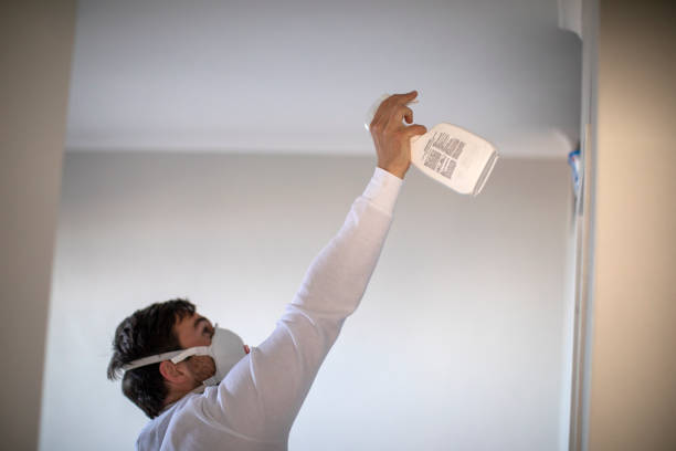 Best Toxic Mold Removal  in Salem, IL