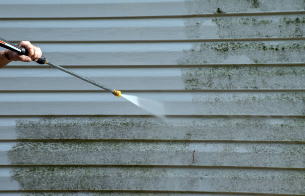 Mold Removal and Inspection in Salem, IL