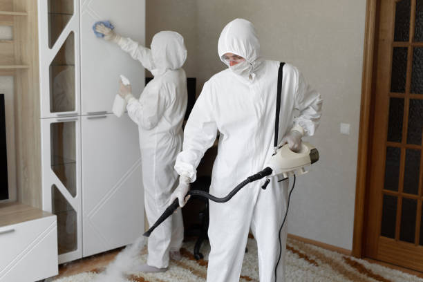 Mold Removal Process in Salem, IL